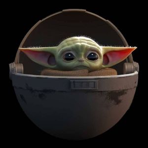 Meet your Posher, Maddox